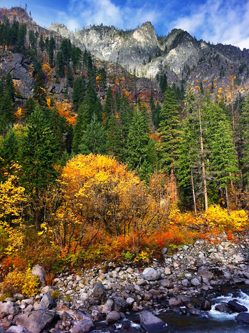 Wenatchee River Fall Colors