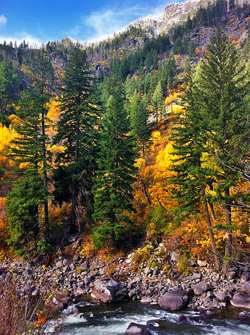 Wenatchee River Fall Colors