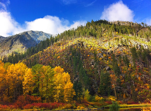 Wenatchee River Fall Colors