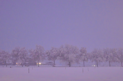 Snowy Night