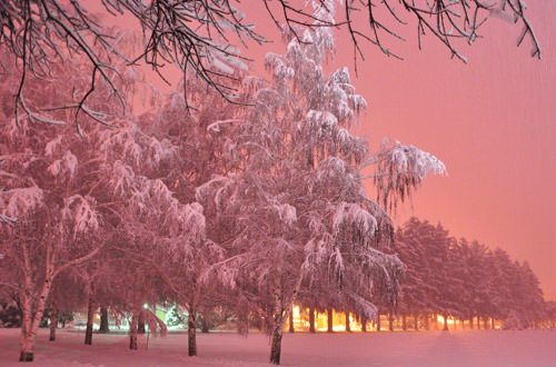 Snowy Cemetery at Night