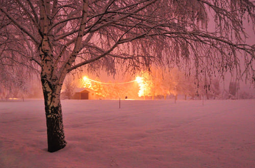 Snowy Cemetery at Night