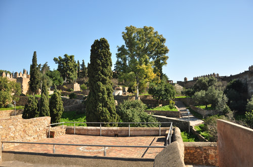 Castle Grounds