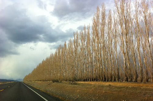 Central Washington Roads