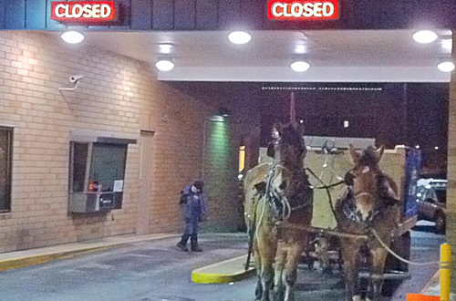 Horse and Buggy at a Drive-Thru