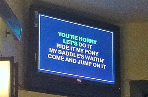You're Horny Let's Do It Lyrics!