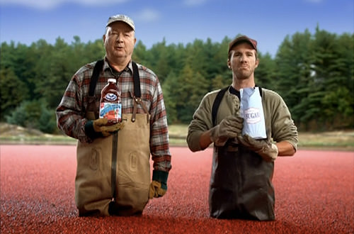 Cranberry Bog Farmers