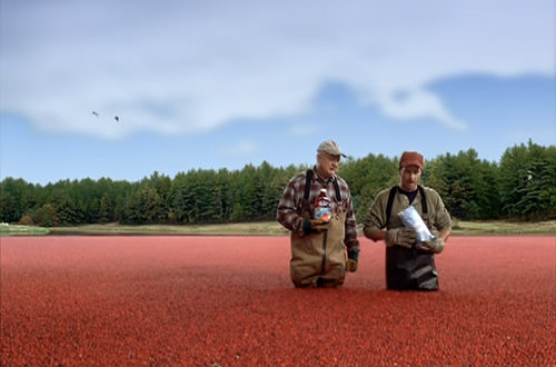 Cranberry Bog Farmers