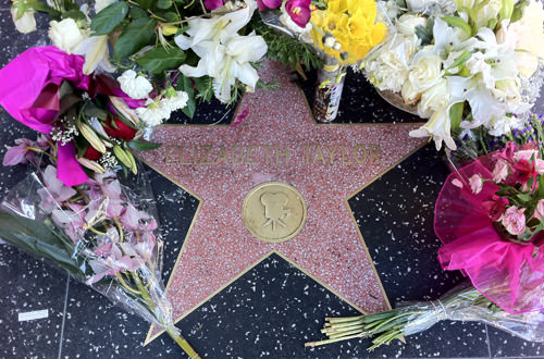 Elizabeth Taylor Star