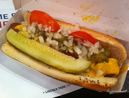 Beautiful Chicago-Style Veggie Dog