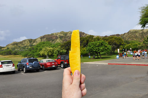 Pineapple Spear at Diamond Head