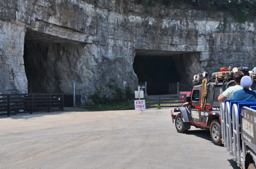 MEGA CAVERN Trams