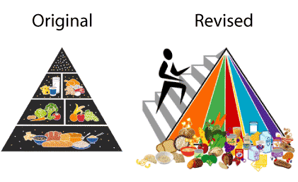Old Nutrition Pyramids