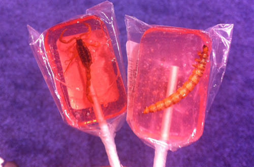 Scorpion Pop