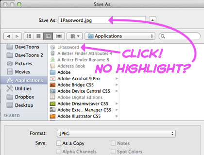 OSX Lion Save Dialog Box