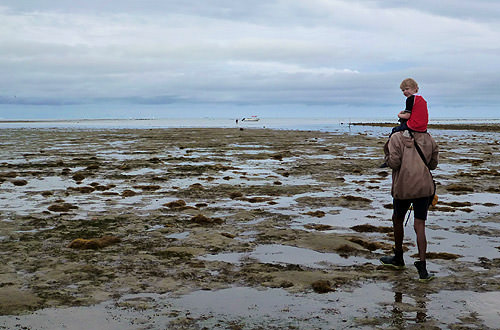 Bula Snorkel Mud Flats