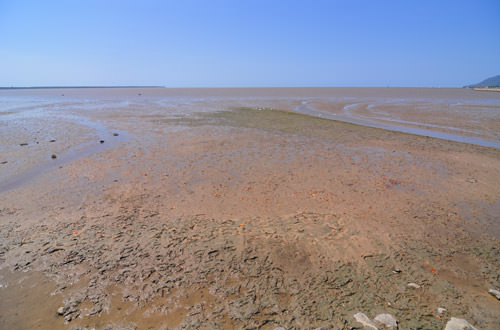 Cairns Mud Flats