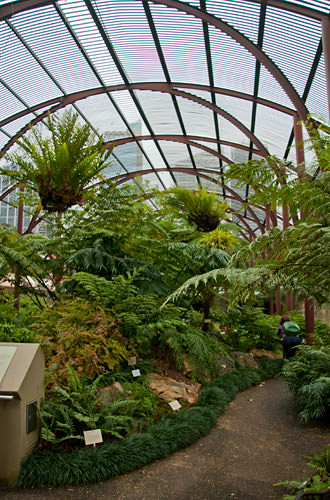 Royal Botanic Gardens Fern House