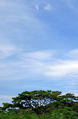 Fiji Blue Sky