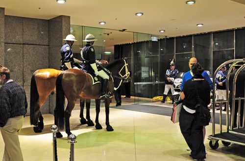 Horses in the Hotel Lobby!