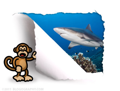 DAVETOON: Bad Monkey and a Shark