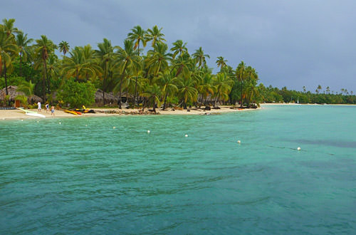 Plantation Island