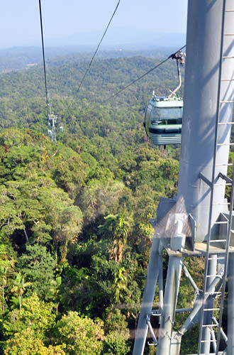 Skyrail Buckets of Death!