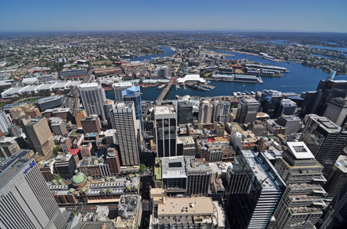 Sydney Tower View