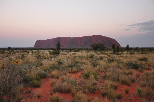 Uluru Sunrise