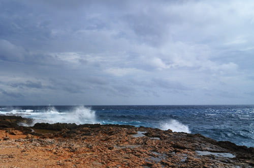 Aruba Shore
