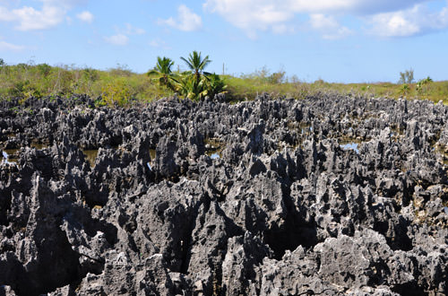 Hell Landscape