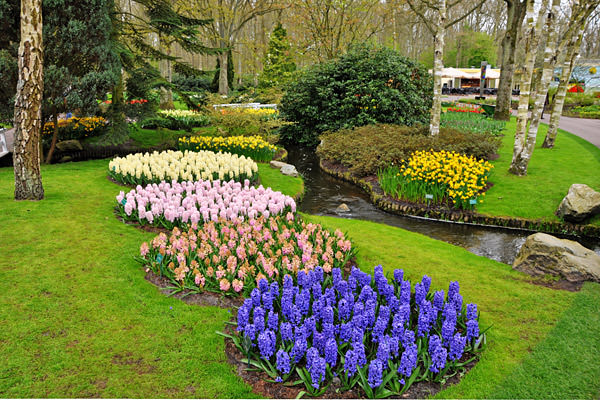 Keukenhof Grounds