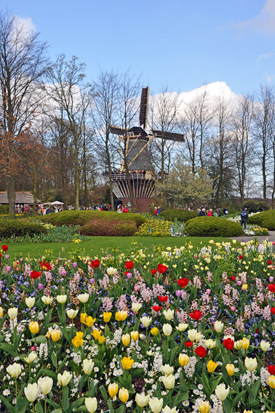 Windmill at the Koekenof!