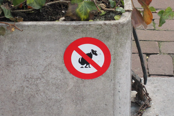 No Dog Pooping Sign
