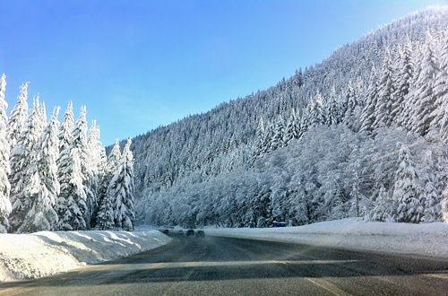 Snowy Drive Home