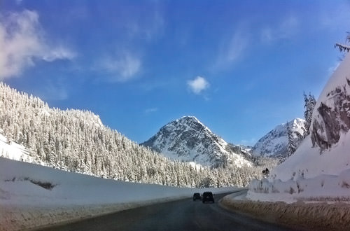 Snowy Drive Home