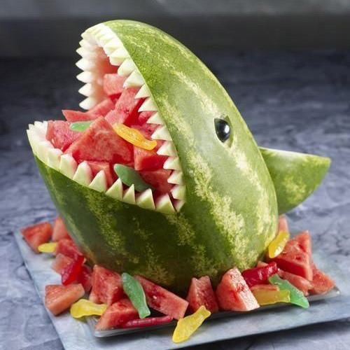 Blogography Shark Week