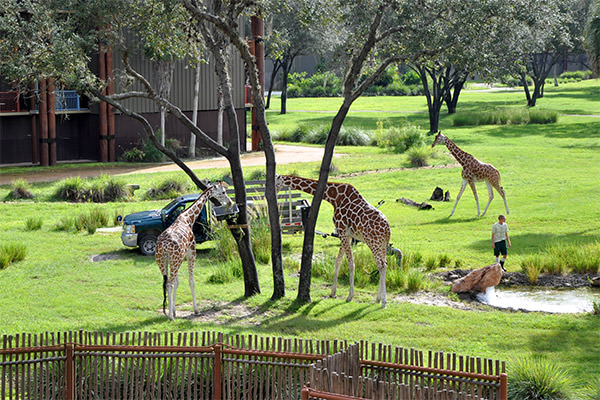 Feeding Time!