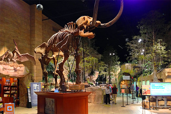 Creation Museum Entrance Hall