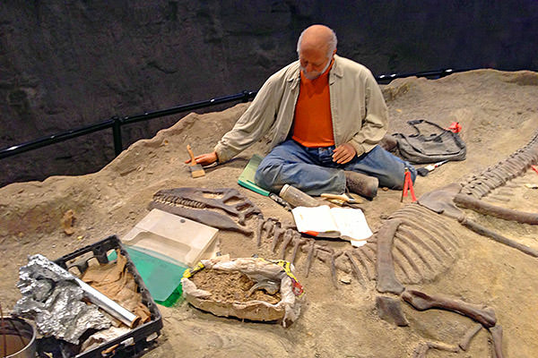 Creation Museum Science Dig