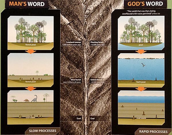Man's Word vs. God's Word!