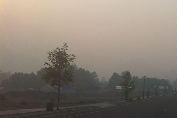 Smokey Days