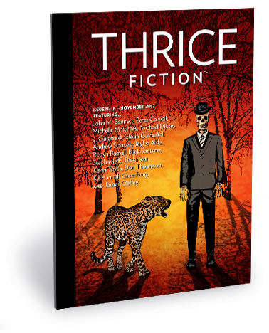 Thrice Fiction Issue No. 6