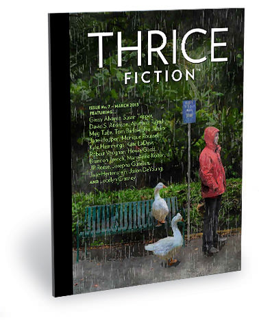 THRICE FICTION Issue No. 7