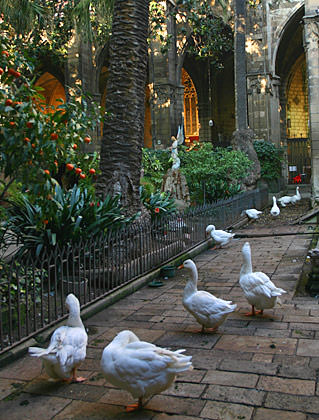 Barcelona Cathedral