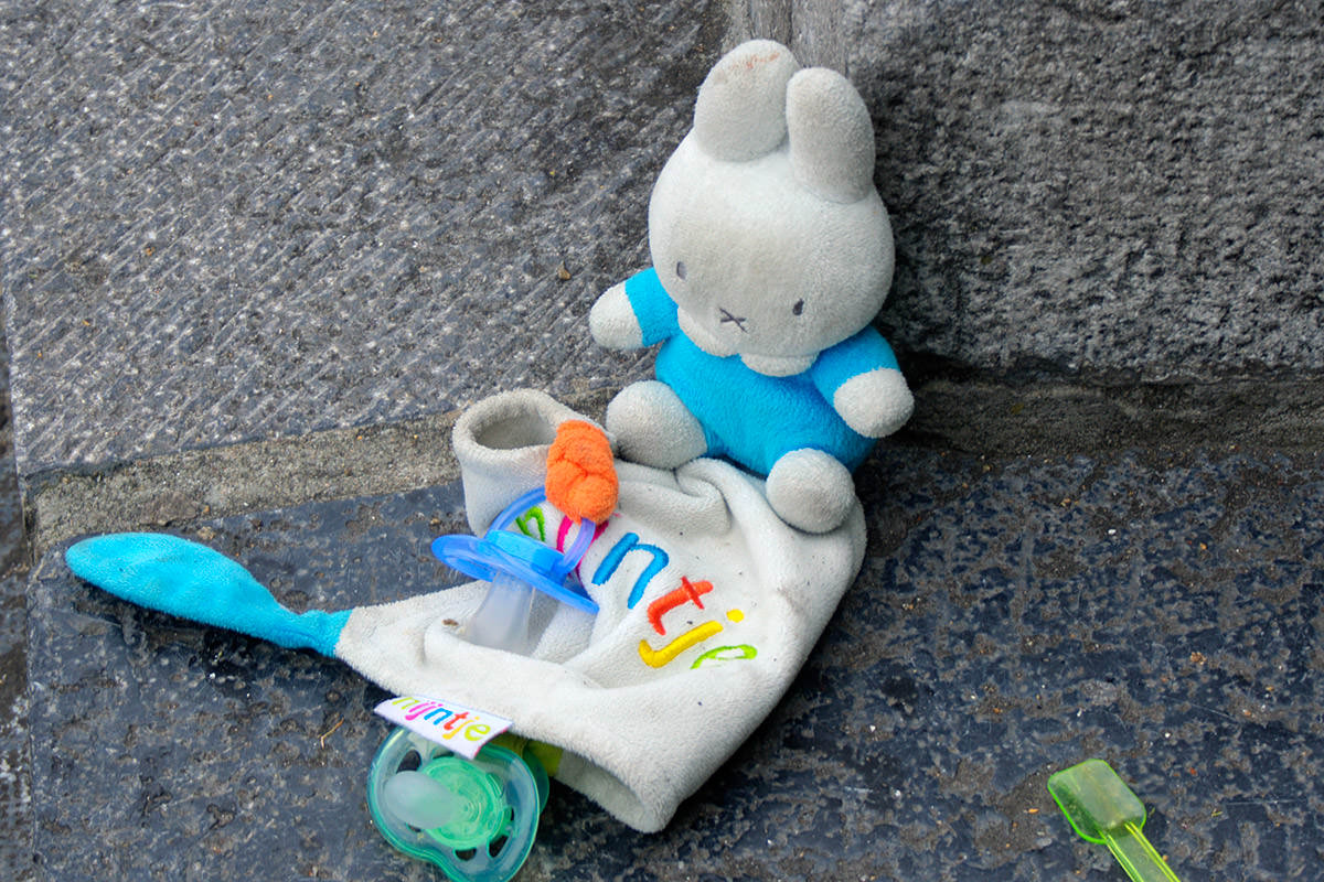 Lost Miffy