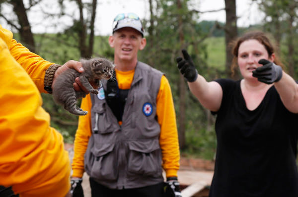 Oklahoma Rescue Kitty... Sue Ogrocki/Associated Press