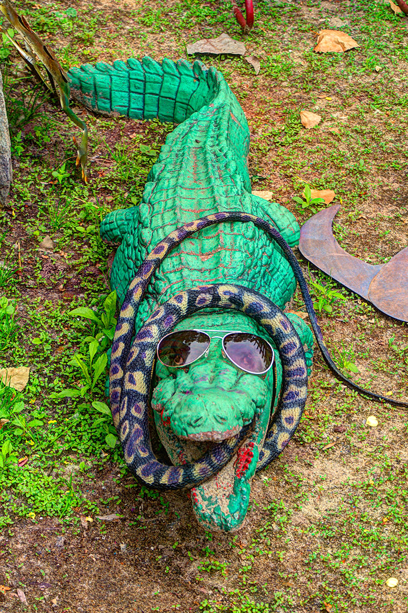 Randyland Gator and Snake