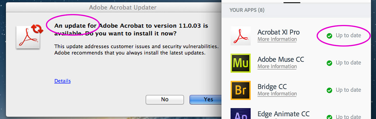 Adobe Update Update!