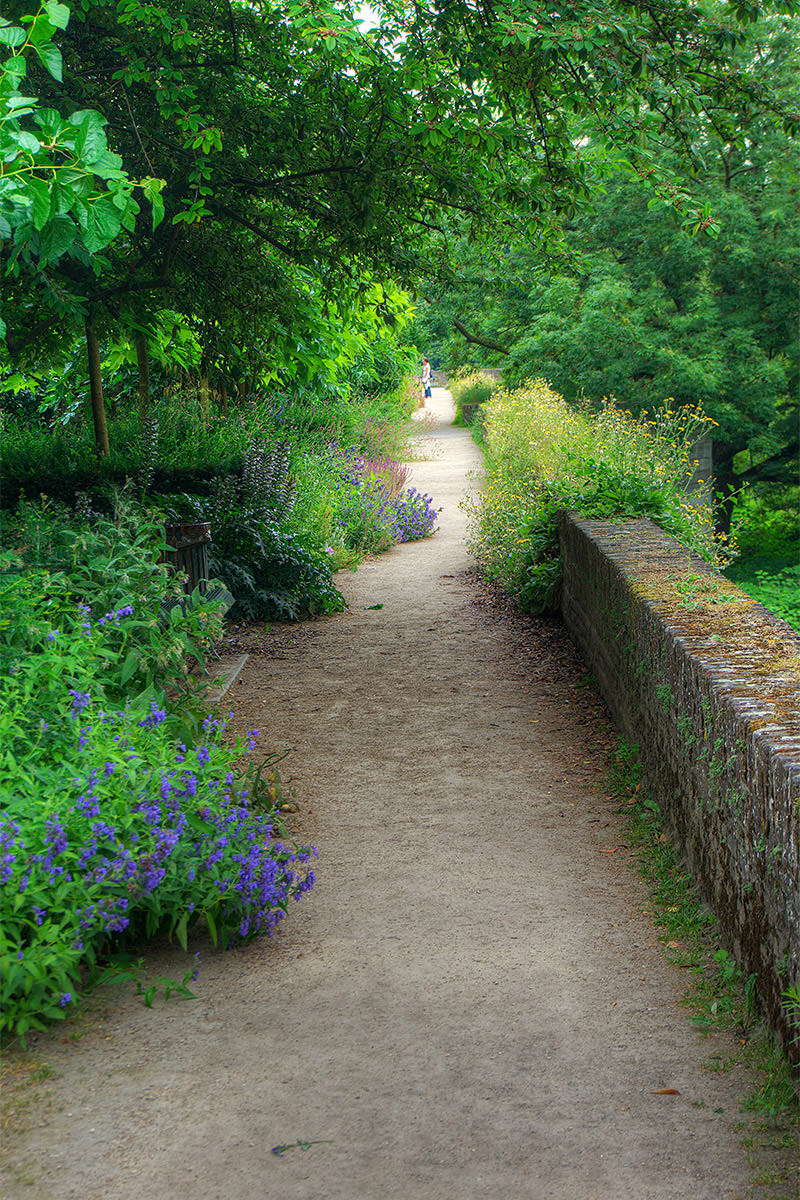 Wall Walk in Maastricht